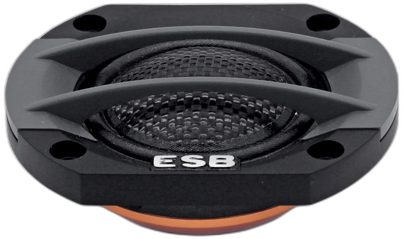 ESB 5.028